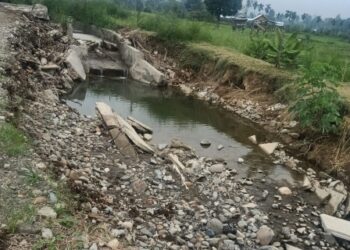 Rusak Berat, Irigasi Puluhan Miliar Rupiah di Pasmah Air Keruh, Masyarakat Pertanyakan Kualitas Pekerjaan Konstruksi 19