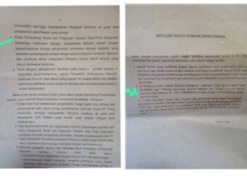 Dimana Ketegasan Camat Sukra Setelah Diberikan Copyan Hasil Monitoring Ombudsman Untuk Tutup Sementara PT. Tesco Indomaritim? 17