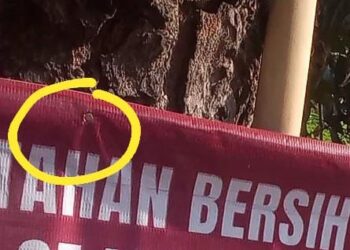 APK Pilkada "Menyakiti" Pohon, WALHI: Utamakan Pelestarian Lingkungan Hidup 1