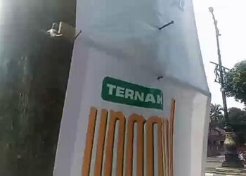 Pemkab Bogor Paku Puluhan Pohon Pelindung, Walhi Marah: Tak Berikan Contoh Yang baik 1