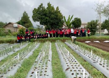 Siswa SMPN 15 Kota Tangerang Banten Laksanakan Kegiatan Belajar Project Penguatan Profil Pelajar Pancasila (P5) Di Cikole Bandung 14