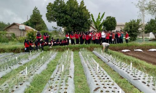 Siswa SMPN 15 Kota Tangerang Banten Laksanakan Kegiatan Belajar Project Penguatan Profil Pelajar Pancasila (P5) Di Cikole Bandung 3