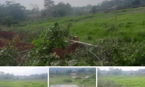 Kondisi Tanah Lapangan Sepakbola Kecamatan Japara Kuningan Yang Tidak Terawat Mendapat Sorotan Warga 3