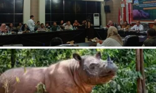 Tokoh Adat dan Aliansi Masyarakat Peduli Way Kambas Tolak Rencana SRS Perluas Kandang Badak di Hutan TNWK 2