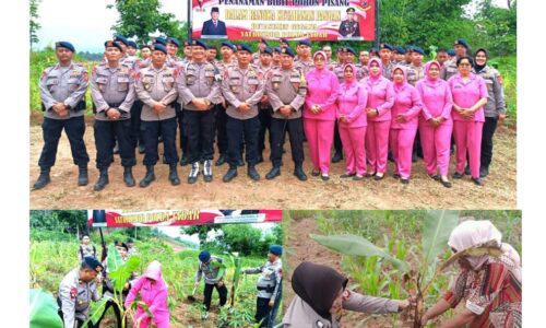 Detasemen Gegana Polda Jabar dan Bhayangkari Tanam Tumpang Sari, Dukung Ketahanan Pangan 5