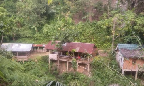 Viral: Belasan Warung Nekad Berdiri di Zona Bencana Alam Bogor, Satpol PP Bertindak 7