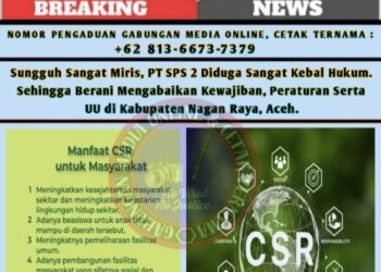 Sungguh Sangat Miris, PT SPS 2 di Nagan Raya Aceh Diduga Sangat Kebal Hukum 13