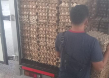 Peredaran Jual Beli Telur Infertil di Kuningan dan Majalengka, Pihak Terkait Diam, PT Aretha Nusantara Farm Awirarangan Kuningan Terancam Penutupan dan Sanksi Pidana Mengintai  2