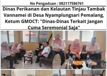 Dinas Perikanan dan Kelautan Tinjau Tambak Vannamei di Desa Nyamplungsari Pemalang, Ketum GMOCT: Dinas-Dinas Terkait Jangan Cuma Seremonial Saja! 13