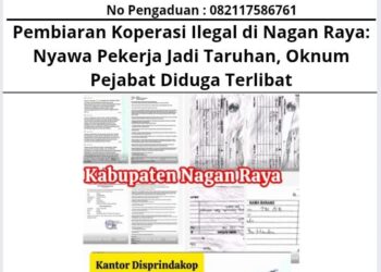 Pembiaran Koperasi Ilegal di Nagan Raya: Nyawa Pekerja Jadi Taruhan, Oknum Pejabat Diduga Terlibat 16