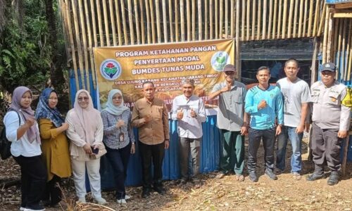WhatsApp Image 2025-08-30 at 17.40.06_ae7155fc BUMDes Tunas Muda Ujung Karang Bengkulu Kembangkan 418 Ayam Petelur untuk Ketahanan Pangan 3
