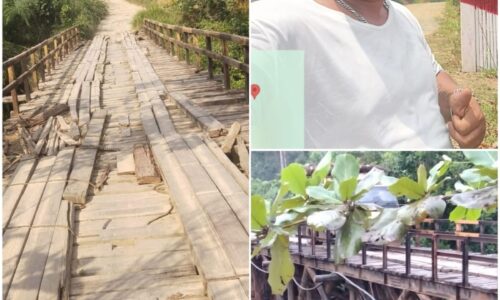 Jembatan Lubuk Agung - Sungai Sarik di Kampar Hampir Roboh, Pemkab Kampar Abai? 5