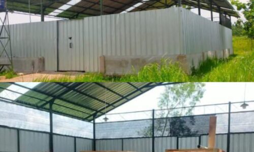 Kontroversi Realisasi Dana Modal Usaha Rp255,6 Juta BUMDes Prima Kalimanggis Kulon Kuningan 3