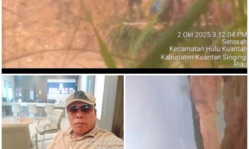 PETI Marak di Serosah, LSM Gakorpan Minta Kapolda Riau Copot Kapolres Kuansing 2