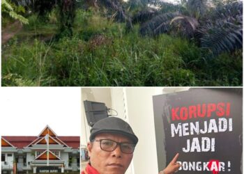 Lahan Sawit Pemkab Kuansing Diduga Dinikmati Sendiri﻿, Ada Keterlibatan Oknum Pemkab? 19