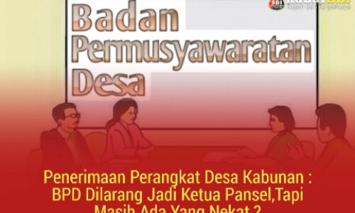 Penerimaan Perangkat Desa Kabunan : BPD Dilarang Jadi Ketua Pansel,Tapi Masih Ada Yang Nekat ? 2