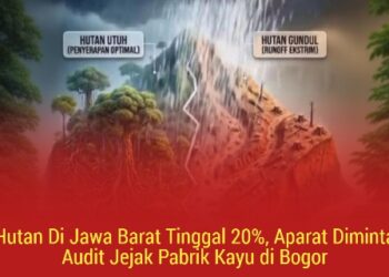 Hutan Di Jawa Barat Tinggal 20%, Aparat Diminta Audit Jejak Pabrik Kayu di Bogor 19