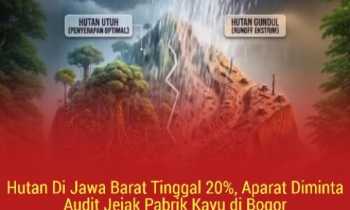Hutan Di Jawa Barat Tinggal 20%, Aparat Diminta Audit Jejak Pabrik Kayu di Bogor 4