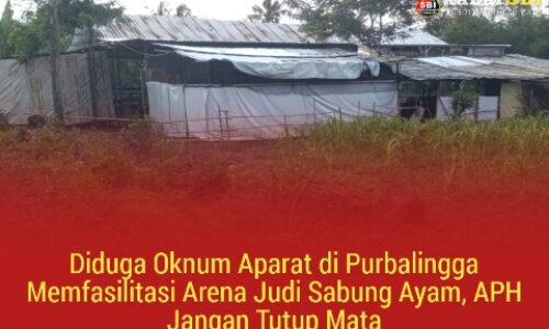 Diduga Oknum Aparat di Purbalingga Memfasilitasi Arena Judi Sabung Ayam, APH Jangan Tutup Mata 5
