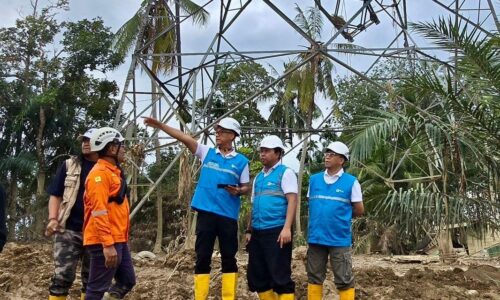 Pulihkan Kelistrikan Aceh: PLN Kerja Keras Perbaiki Jalur Listrik Langsa - Pangkalan Brandan 3