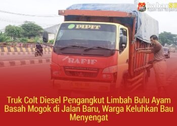 Truk Colt Diesel Pengangkut Limbah Bulu Ayam Basah Mogok di Jalan Baru, Warga Keluhkan Bau Menyengat 21