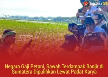 Negara Gaji Petani, Sawah Terdampak Banjir di Sumatera Dipulihkan Lewat Padat Karya 20