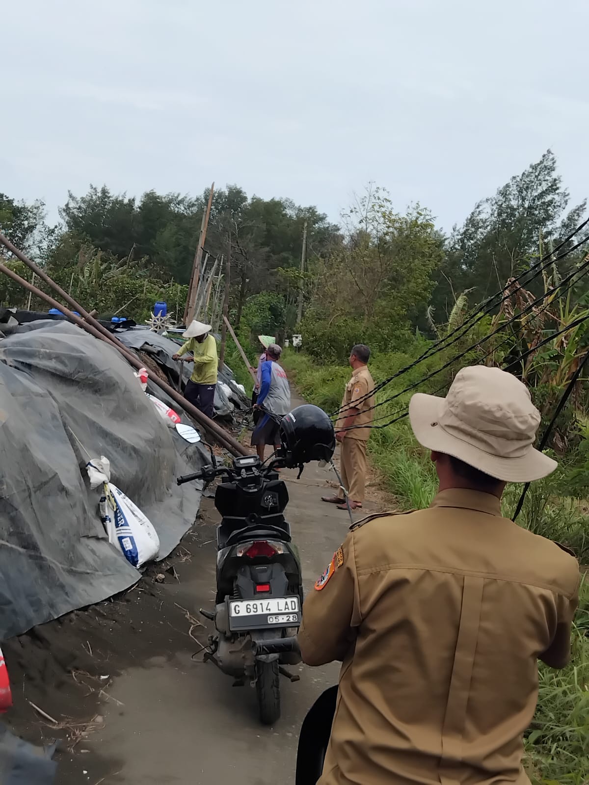 Kabel Berserakan Ancam Keselamatan Warga, Kepala Desa Nyamplungsari Turun Langsung Tegur Pemilik Tambak Udang Vaname 3 Kabel Berserakan Ancam Keselamatan Warga, Kepala Desa Nyamplungsari Turun Langsung Tegur Pemilik Tambak Udang Vaname 3