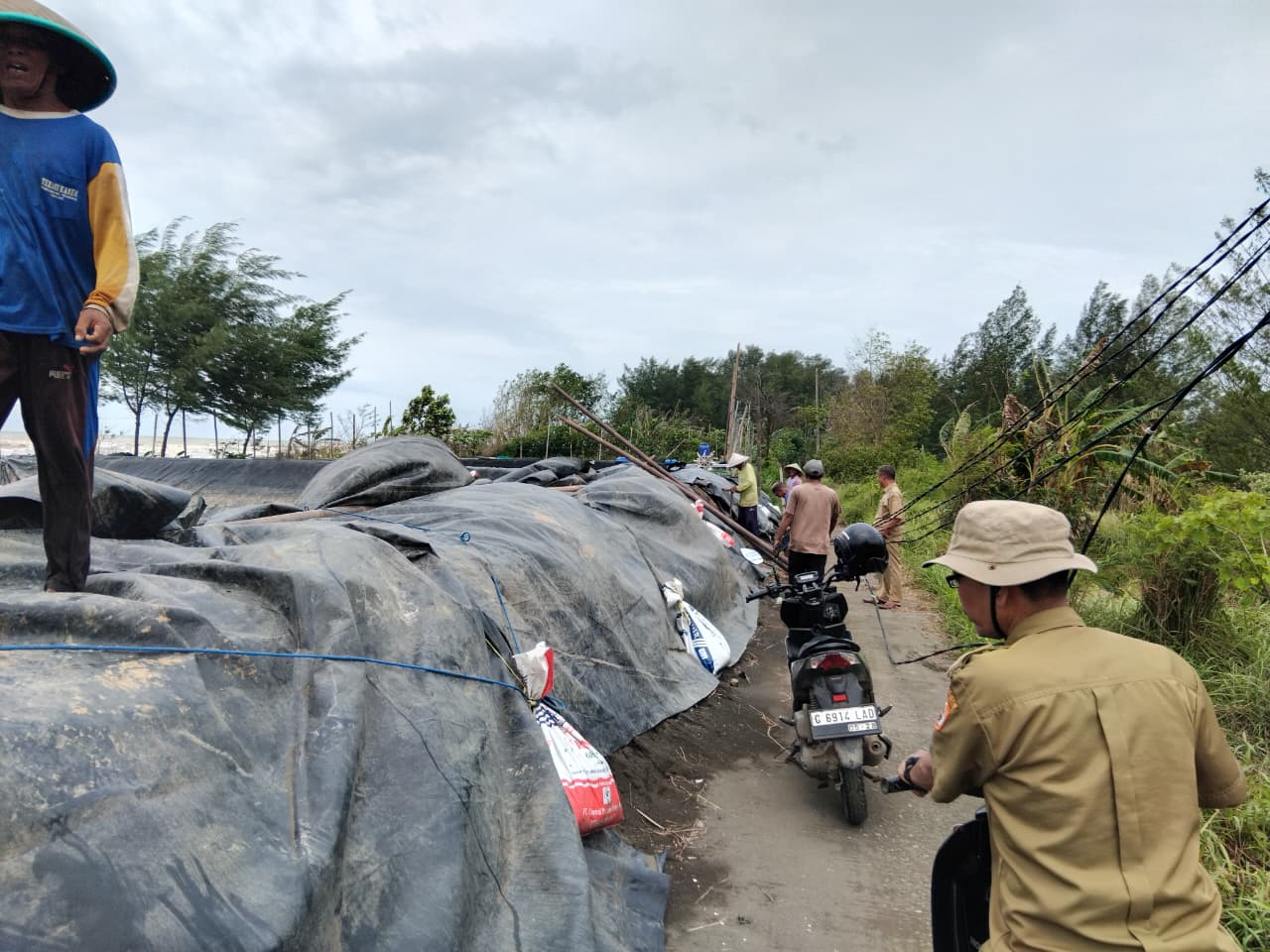 Kabel Berserakan Ancam Keselamatan Warga, Kepala Desa Nyamplungsari Turun Langsung Tegur Pemilik Tambak Udang Vaname 2 Kabel Berserakan Ancam Keselamatan Warga, Kepala Desa Nyamplungsari Turun Langsung Tegur Pemilik Tambak Udang Vaname 2