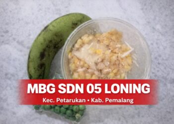Agung Sulistio Soroti MBG SDN 05 Loning Kecamatan Petarukan, Kabupaten Pemalang, Tegaskan Dugaan Pelanggaran Standar Gizi 21
