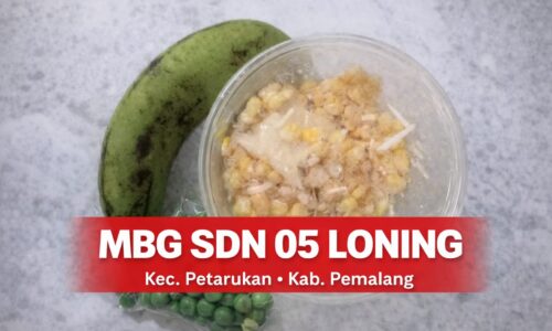Agung Sulistio Soroti MBG SDN 05 Loning Kecamatan Petarukan, Kabupaten Pemalang, Tegaskan Dugaan Pelanggaran Standar Gizi 5