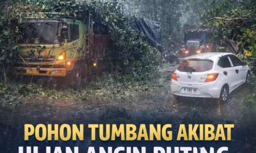 Pohon Tumbang Akibat Hujan Angin Puting Beliung, Jalur Pantura Batang Macet Total 6