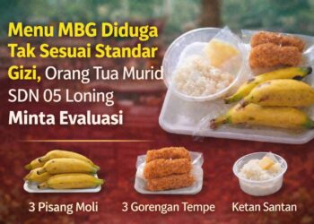 Menu MBG di SDN 05 Loning Disorot, Ini Analisis Perkiraan Nilai Menu dan Anggarannya 21
