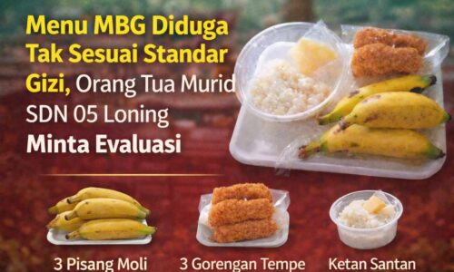 Menu MBG di SDN 05 Loning Disorot, Ini Analisis Perkiraan Nilai Menu dan Anggarannya 3