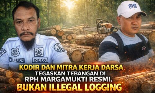Kodir dan Mitra Kerja Darsa Tegaskan Tebangan di RPH Margamukti Resmi, Bukan Illegal Logging 3