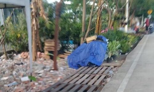 Pemkot Jakarta Utara Bakal Tertibkan "Lapak Liar" Pedagang Tanaman Hias Samping JIS 6