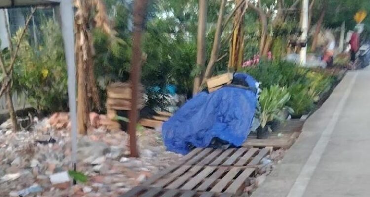 Pemkot Jakarta Utara Bakal Tertibkan "Lapak Liar" Pedagang Tanaman Hias Samping JIS 1
