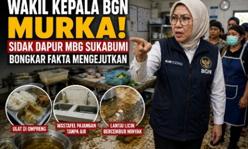Wakil Kepala BGN Murka! Sidak Dapur MBG Sukabumi Bongkar Fakta Mengejutkan 3