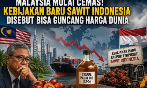 Malaysia Mulai Cemas! Kebijakan Baru Sawit Indonesia Disebut Bisa Guncang Harga Dunia 4