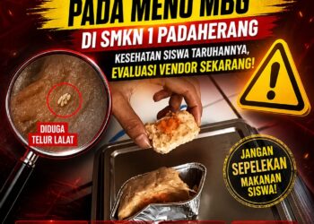 Diduga Ada Telur Lalat dalam Menu MBG di SMKN 1 Padaherang, AWP Soroti Higienitas dan Desak Evaluasi Vendor 18