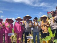 Sambut Hari Bhayangkara Ke-80, Polres Pangandaran Dukung Lomba Ketahanan Pangan Polda Jabar 12