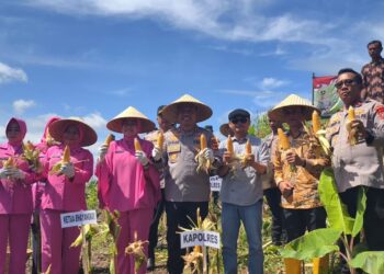 Sambut Hari Bhayangkara Ke-80, Polres Pangandaran Dukung Lomba Ketahanan Pangan Polda Jabar 17