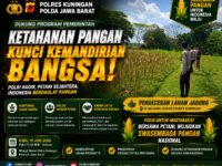 Kapolres Kuningan Tinjau Lahan Jagung, Bersama Kasat Narkoba Tegaskan Dukungan Polri untuk Swasembada Pangan Nasional 11
