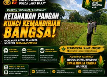 Kapolres Kuningan Tinjau Lahan Jagung, Bersama Kasat Narkoba Tegaskan Dukungan Polri untuk Swasembada Pangan Nasional 17
