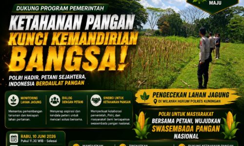Kapolres Kuningan Tinjau Lahan Jagung, Bersama Kasat Narkoba Tegaskan Dukungan Polri untuk Swasembada Pangan Nasional 11