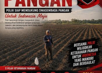 Kapolres Kuningan AKBP M. Ali Akbar dan Kasat Narkoba AKP Jojo Turun ke Lapangan, Tegaskan Komitmen Dukung Ketahanan Pangan dan Kesejahteraan Petani 18