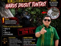 Diduga Langgar Aturan Lingkungan, Praktik Pembuangan Limbah Laundry ke Sungai di Wonopringgo Harus Diusut Tuntas 12