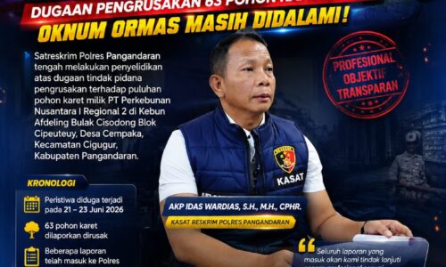 IMG-20260721-WA0003 Polres Pangandaran Selidiki Dugaan Pengrusakan 63 Pohon Karet Milik PTPN, Keterlibatan Oknum Ormas Masih Didalami 2