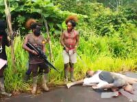Luka Panjang Papua: Warga Sipil Jadi Korban Kekerasan OPM Papua 11
