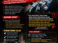 Sudin KPKP Jakarta Utara Bertindak Tegas, Pemilik Puluhan Anjing di Sunter Agung Diminta Segera Evakuasi Hewan Peliharaan 10