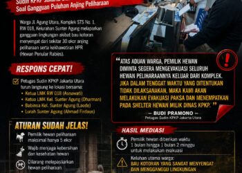 Sudin KPKP Jakarta Utara Bertindak Tegas, Pemilik Puluhan Anjing di Sunter Agung Diminta Segera Evakuasi Hewan Peliharaan 21